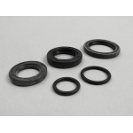 Serie paraolio per Lambretta J50, Lui 50